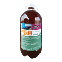 光合菌 5000mlх4瓶/箱